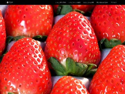 ベリーズファンBerryzfun(日本、〒322-0534 栃木県鹿沼市亀和田町1109−１)