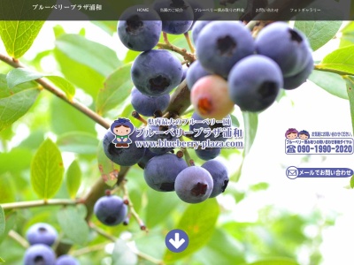 ブルーベリープラザ浦和(日本、〒336-0974 埼玉県さいたま市緑区大崎589)