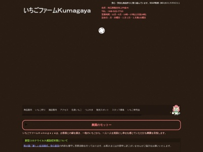 いちごファーム kumagayaのクチコミ・評判とホームページ