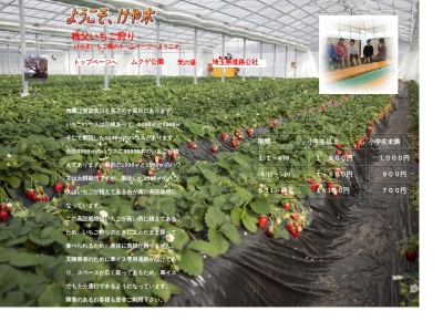 けや木いちご園(日本、〒368-0056埼玉県秩父市寺尾630)