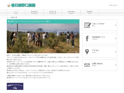 春日部ブルーベリーファーム(日本、〒344-0134埼玉県春日部市立野７２４−１)
