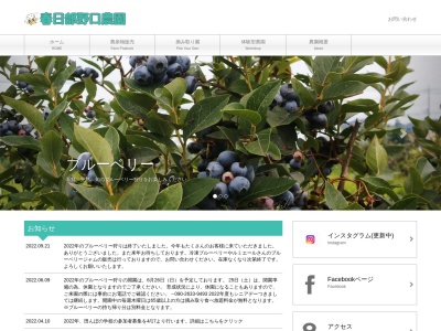 野口農園(日本、〒344-0134埼玉県春日部市立野７２４−１)
