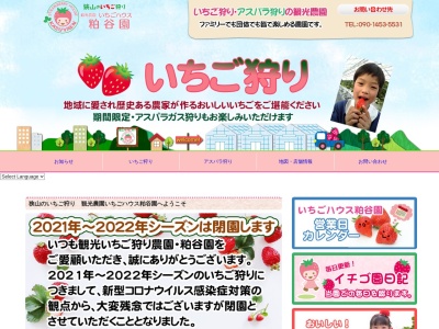 観光農園いちごハウス粕谷園(日本、埼玉県狭山市沢１)