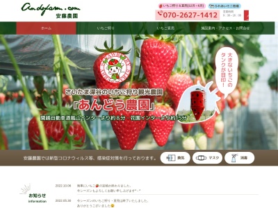 安藤農園のクチコミ・評判とホームページ