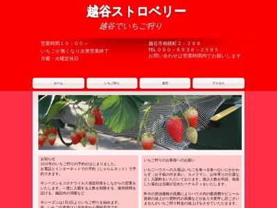 越谷ストロベリー(日本、〒343-0823 埼玉県越谷市相模町２丁目２９９)