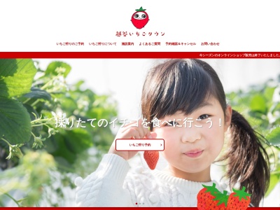 越谷いちごタウン(埼玉県越谷市増森1-41)