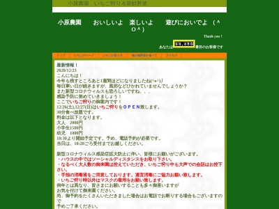 ランキング第3位はクチコミ数「9件」、評価「2.94」で「小原農園」