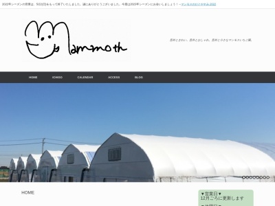 マンモスいちご園(日本、〒292-0005千葉県木更津市畔戸1714)