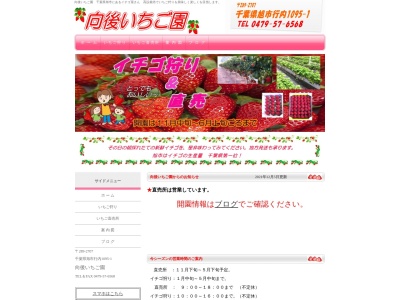 向後いちご園(日本、〒289-2707千葉県旭市行内)