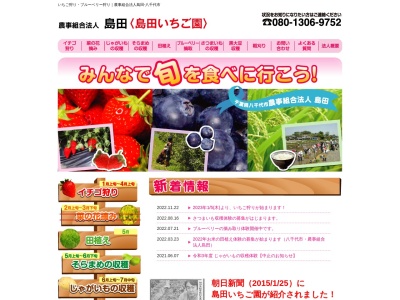 島田いちご園(日本、〒276-0005千葉県八千代市島田402)