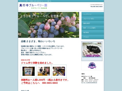 真行寺ブルーベリー園(日本、〒289-1104 千葉県八街市文違３０１)