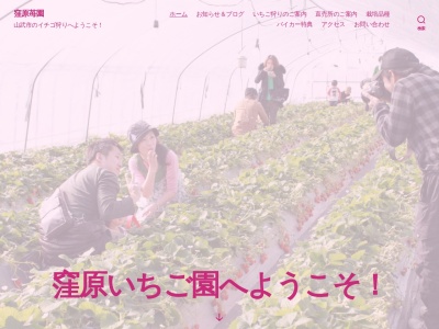 窪原苺園のクチコミ・評判とホームページ