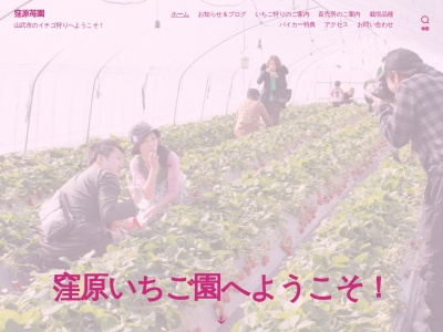 窪原苺園(日本、〒289-1326千葉県山武市成東７３４−３)
