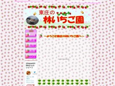 ランキング第1位はクチコミ数「3件」、評価「4.37」で「林いちご園」