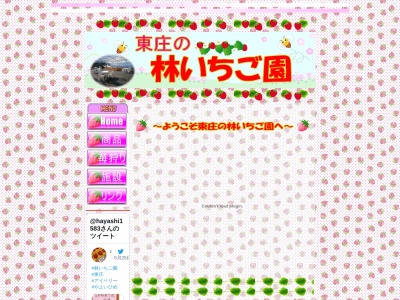 林苺園直売所のクチコミ・評判とホームページ