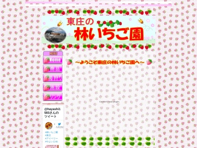 林苺園直売所(日本、〒289-0602千葉県香取郡東庄町笹川ろ1120)