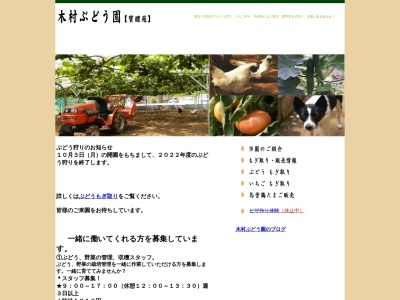 木村ぶどう園(日本、〒158-0092東京都世田谷区野毛2丁目20−16)