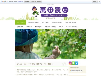 ブルーベリー狩り 萬田ブルーベリー農園(日本、〒190-0001東京都立川市若葉町3丁目31−1)
