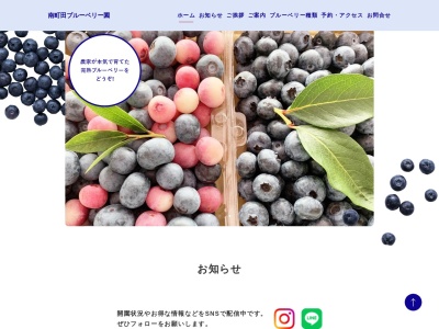 南町田 ブルーベリー園(日本、〒194-0004 東京都町田市鶴間5丁目12−38)