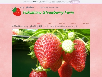 フクシマストロベリーファーム(日本、〒187-0042東京都小平市仲町283)