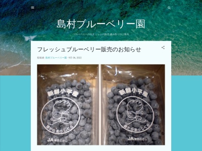 ランキング第2位はクチコミ数「11件」、評価「3.97」で「島村ブルーベリー園」