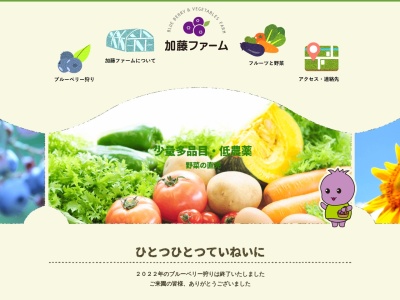 手ぶらでブルーベリー狩り 加藤ファーム(日本、〒202-0003 東京都西東京市北町1丁目5 加藤ファーム農産物直売所)