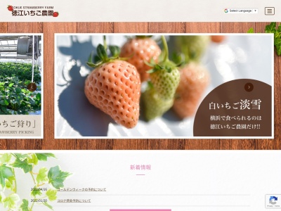 徳江いちご農園 市が尾ハウス(日本、〒225-0024神奈川県横浜市青葉区市が尾4−10)