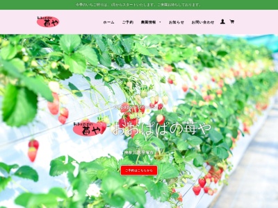 おおぱぱの苺や(日本、〒254-0904神奈川県平塚市根坂間124)