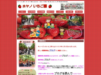 ホヤノいちご園(日本、〒254-0003神奈川県平塚市下島614)