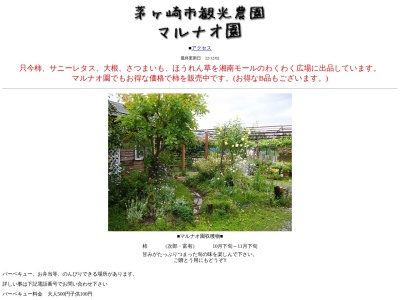 マルナオ園(〒253-0008,330芹沢茅ヶ崎市神奈川県253-0008日本)