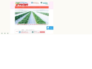 イチゴ農園