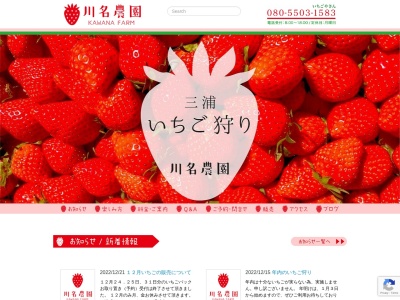 川名農園(日本、神奈川県三浦市初声町高円坊148−3)