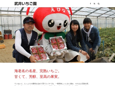 武井いちご園(日本、〒243-0417神奈川県海老名市本郷5130)