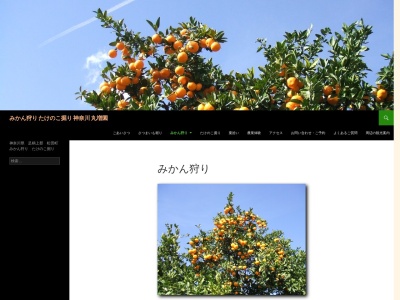 みかん狩り丸増園(日本、〒258-0004 神奈川県足柄上郡松田町松田庶子457)