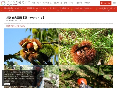 村川観光栗園(日本、〒959-1738新潟県五泉市別所1143)