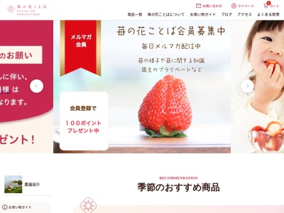 苺の花ことば(日本、〒949-3123新潟県上越市大潟区長崎１５００)