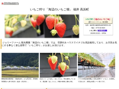 ジョリーファーム いちご農園(日本、〒919-2201福井県大飯郡高浜町和田UnnamedRoad、)