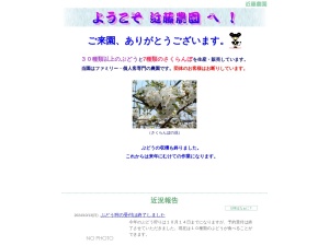 ランキング第2位はクチコミ数「44件」、評価「4.15」で「近藤農園」