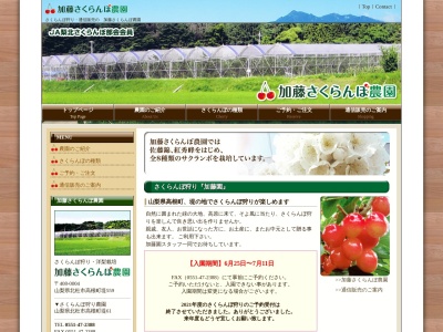 加藤さくらんぼ農園(山梨県北杜市)(日本、〒408-0004 山梨県北杜市高根町堤61)