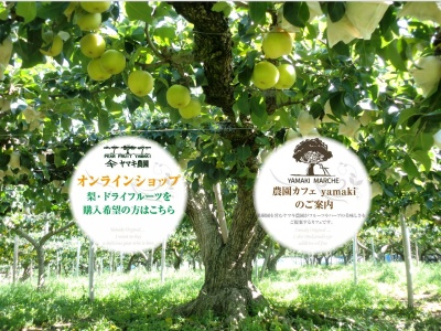 農園カフェ ヤマキマルシェ(日本、〒505-0003岐阜県美濃加茂市山之上町1004-3)