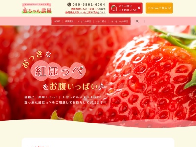 金ちゃん農園(日本、〒437-1302静岡県掛川市大渕8513−1)