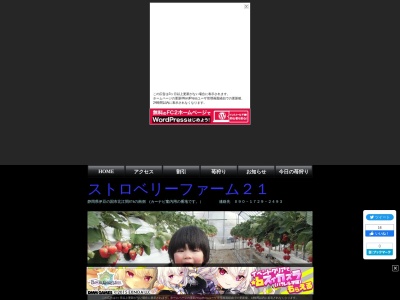 ストロベリーファーム21いちご狩り(日本、〒410-2223静岡県伊豆の国市北江間８７４の道路南側の畑)