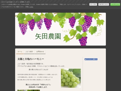 矢田果樹園 ぶどう園のクチコミ・評判とホームページ