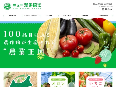ニュー渥美観光(日本、〒441-3614愛知県田原市保美町段土１６５)