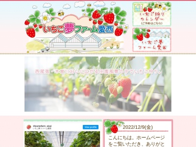 いちご夢ファーム愛西(愛知県愛西市鵜多須町松原56)