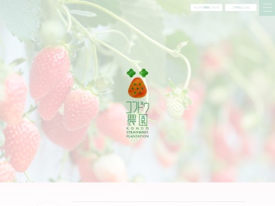 いちごのコンドウ農園のクチコミ・評判とホームページ