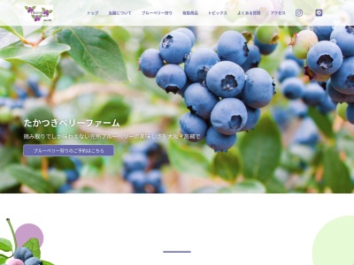 高槻ブルーベリーファーム(日本、〒569-0847 大阪府高槻市西面南２丁目 西面南２丁目８１６番地)