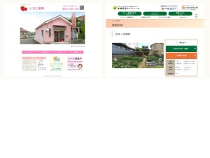 イチゴ農園
