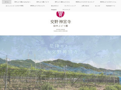 田中ぶどう農園ぶどう直売所(日本、〒576-0062 大阪府交野市神宮寺１丁目４０ 神宮寺1-40)
