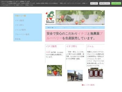 下村ベリー園(日本、〒637-0076 奈良県五條市木ノ原町 木ノ原町989−8)